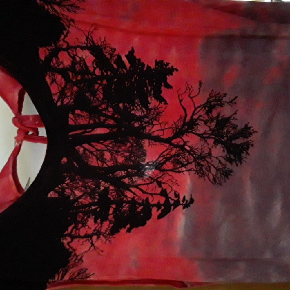 Lip Service widow tunic dress sunset tree bi goth pride